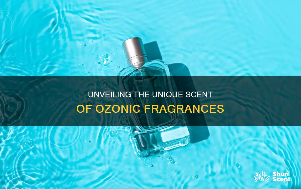 what do ozonic fragrances smell like