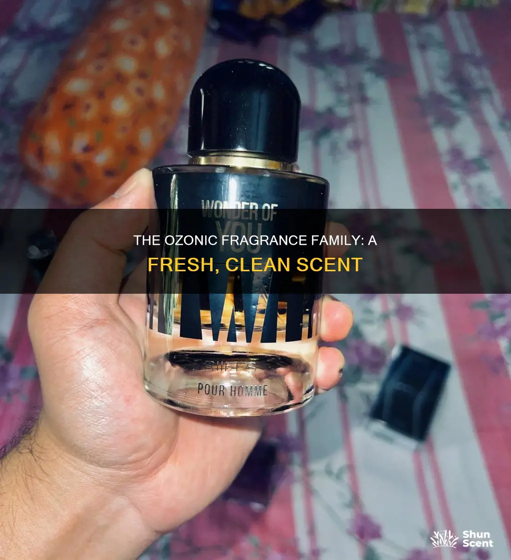 what do ozonic fragrances smell like
