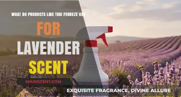 Unveiling the Secret: What's Behind the Lavender Scent in Tide and Febreze?