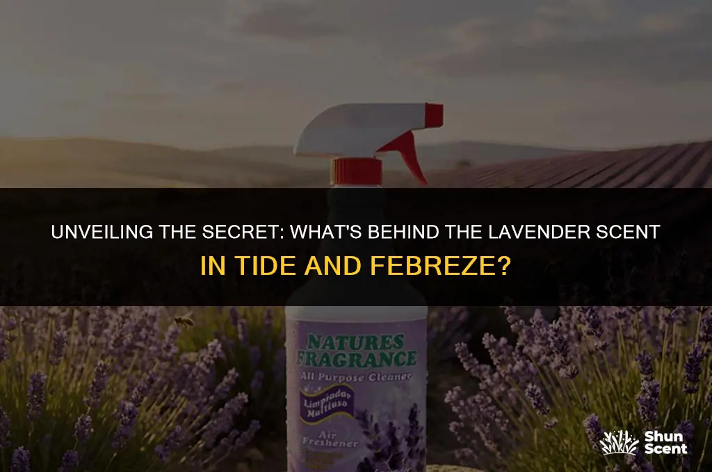 what do products like tide febreze use for lavender scent