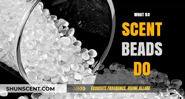 Unveiling the Magic: How Scent Beads Transform Your Space