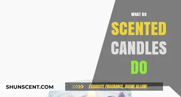 Unveiling the Magic: How Scented Candles Transform Your Space