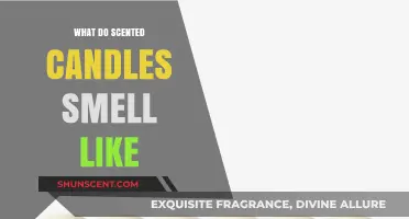Exploring the Aromatic World: What Scented Candles Smell Like