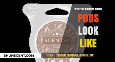 Exploring Scentsy: A Visual Guide to Their Scent Pods