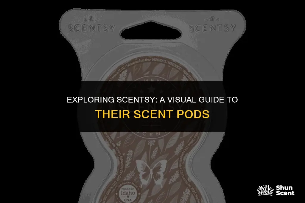 what do scentsy scent pods look like