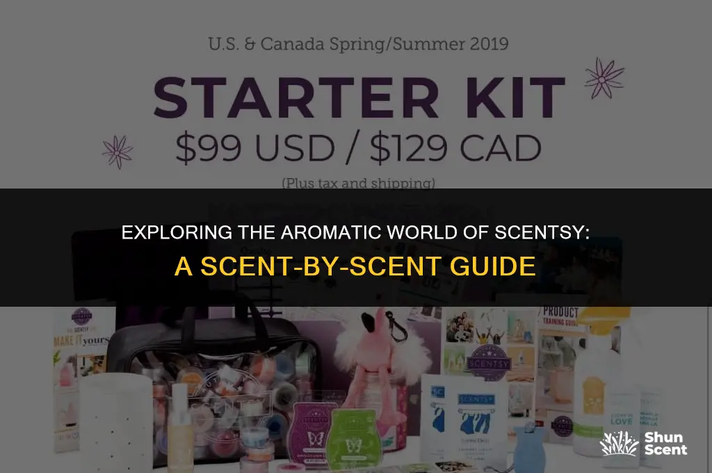 what do scentsy scents smell like