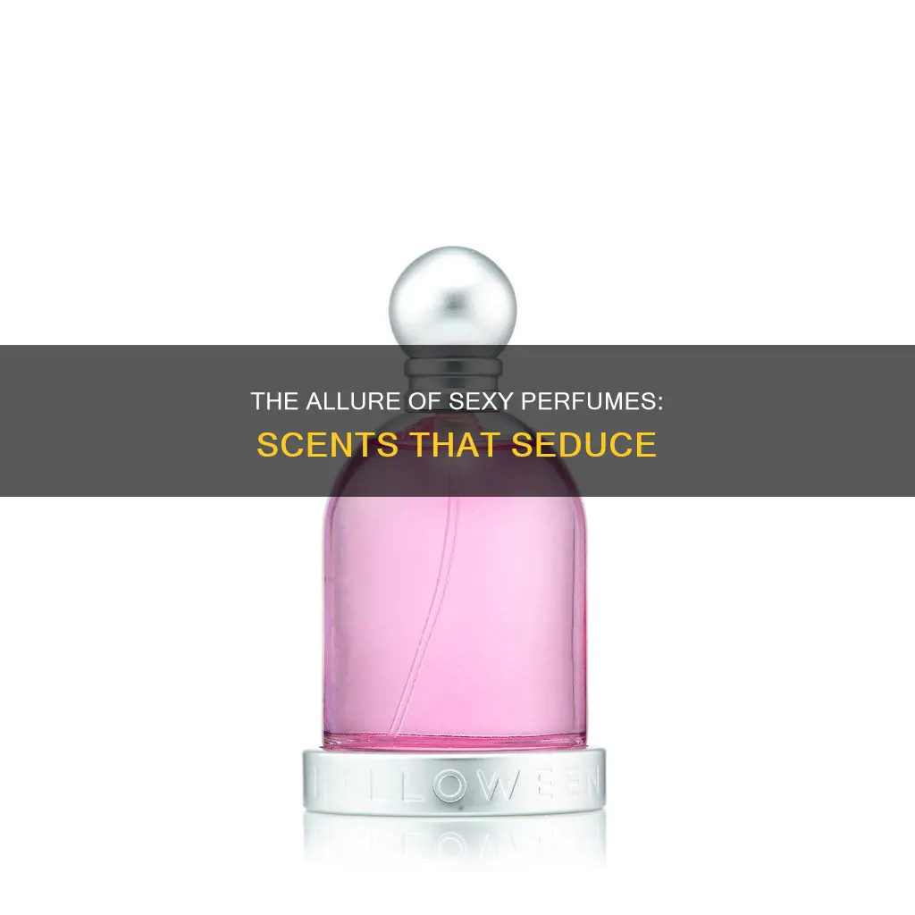 what do sexy perfumes smell like