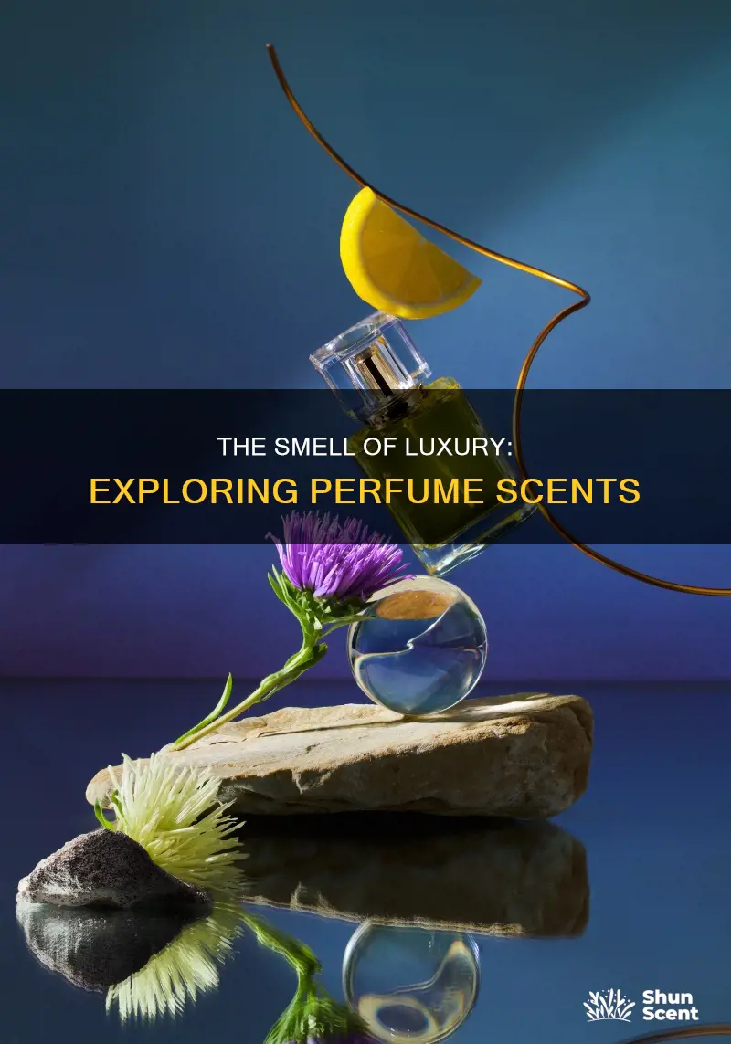 what do some perfumes smell like