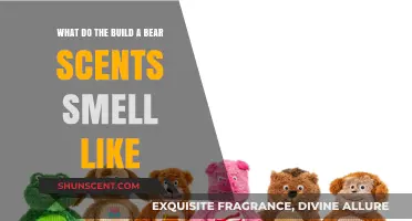 Exploring the Enchanting World of Build-A-Bear Scents