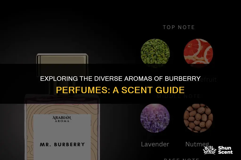 what do the different burberry scent smell like