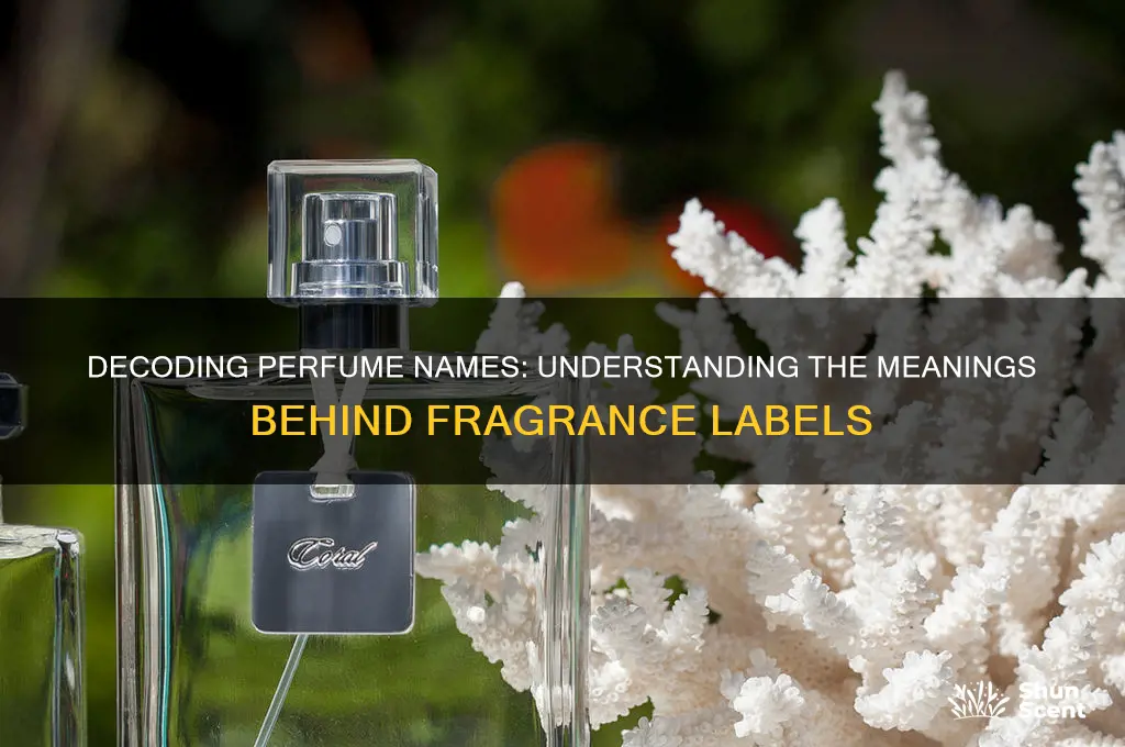 what do the different names on perfume mean