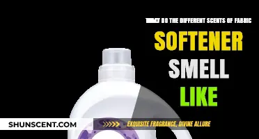 Exploring the Aromatic World of Fabric Softener Scents