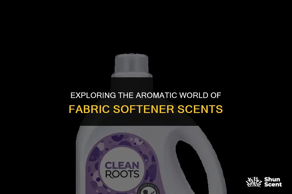 what do the different scents of fabric softener smell like