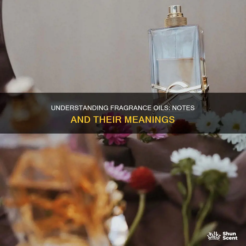 what do the notes in fragrance oil mean