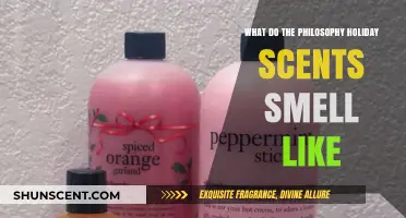 Exploring the Essence: What Do Philosophy Holiday Scents Smell Like?