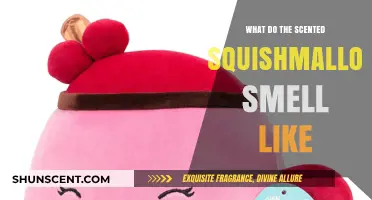 Unveiling the Aromatic Mystery: What Do Scented Squishmallows Smell Like?