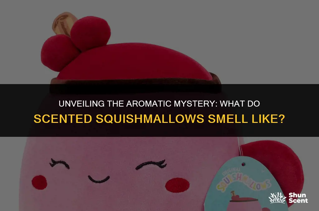 what do the scented squishmallows smell like