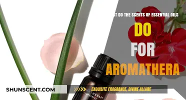 Unveiling the Aromatherapy Benefits of Essential Oils' Scents