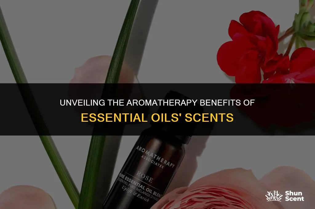 what do the scents of essential oils do for aromatherapy