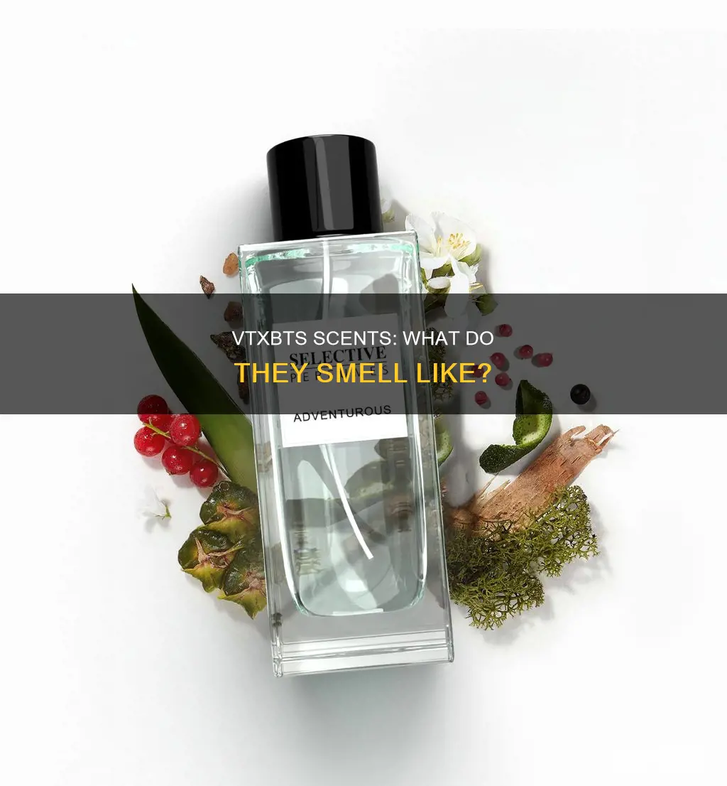 what do the vtxbts perfume smell like