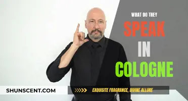 Cologners' Common Language and Local Lingo Explained