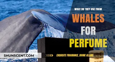 Whale Secrets: Unveiling Ingredients Used in Perfumes from Whales