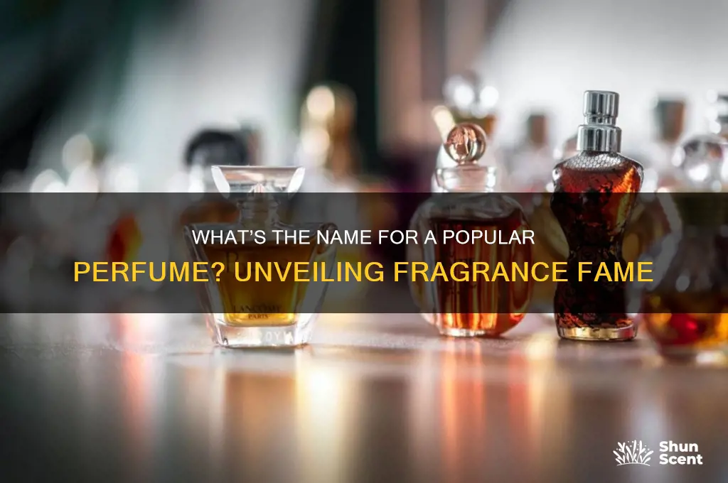what do u call a popular perfume