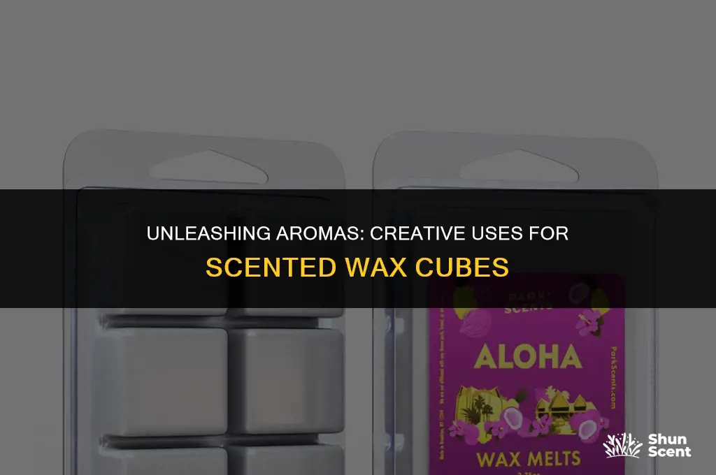 what do u do with scented wax cubes