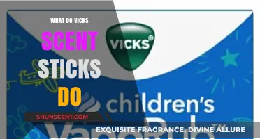 Unveiling the Magic: How Vicks Scent Sticks Transform Your Space