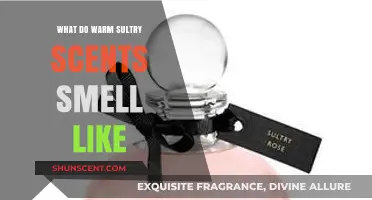 Exploring the Alluring World of Warm Sultry Scents