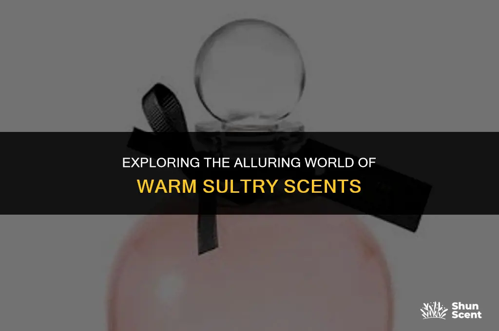 what do warm sultry scents smell like
