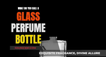 The Fragrance Encapsulators: Glass Perfume Bottles