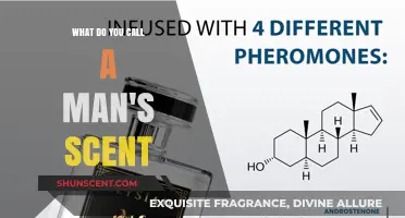 Decoding Masculinity: The Intriguing Science Behind a Man's Scent