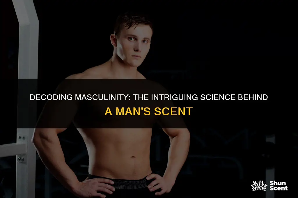 what do you call a man