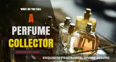 The Art of Scent: What Do You Call a Perfume Collector?