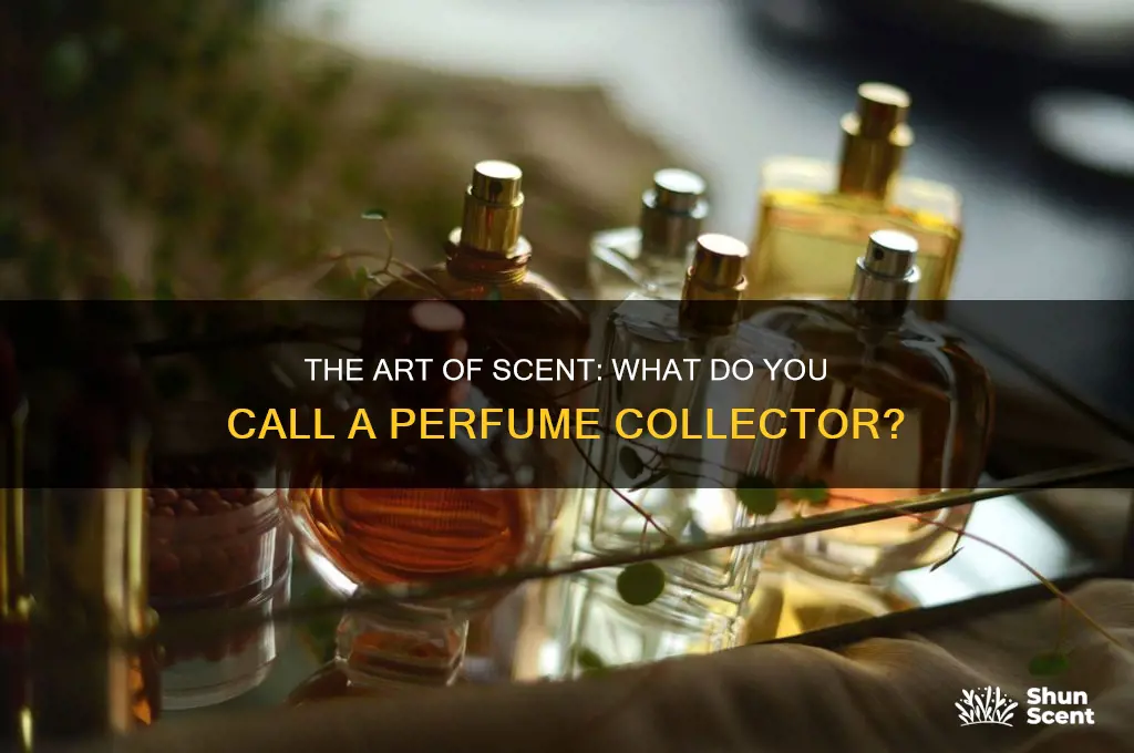 what do you call a perfume collector