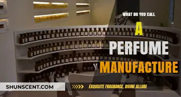 The Art of Scent Creation: Naming the Perfume Manufacturer