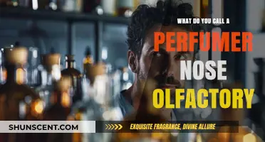 The Perfumer's Olfactory Mastery: Unveiling the Art of the Nose
