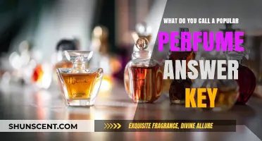 Unveiling the Scent's Secret: What's the Name of That Popular Perfume?