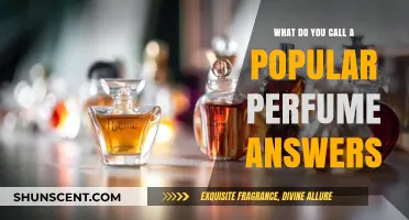 Unveiling the Name: What Do You Call a Popular Perfume?
