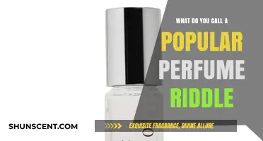 What Do You Call a Popular Perfume? Unraveling the Scent Riddle