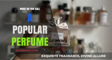 The Fragrance Fame: What Makes a Popular Perfume?