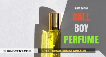 What Do You Call Boy Perfume? Exploring Masculine Fragrance Terminology