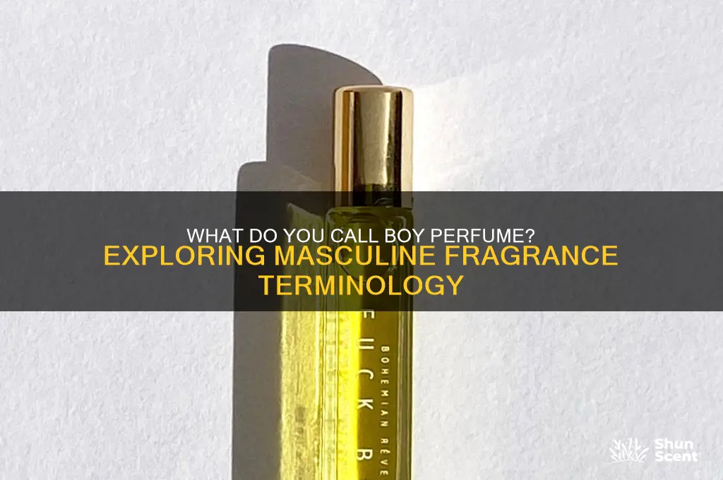 what do you call boy perfume