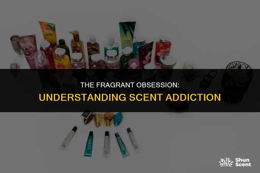 what do you call someone addicted to scent