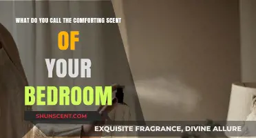 The Cozy Essence: Unveiling the Comforting Scent of Home