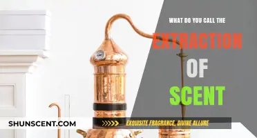 The Art of Scent Extraction: Unveiling Nature's Aromatic Treasures
