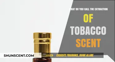 Unveiling the Essence: The Art of Tobacco Scent Extraction