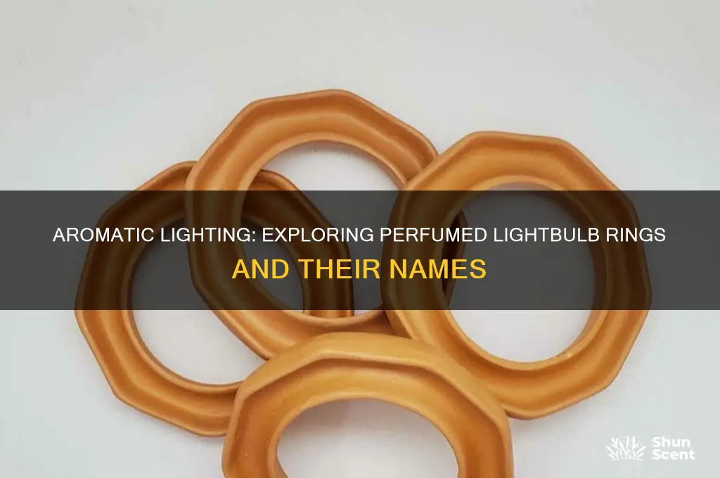 what do you call the rings for lightbulbs with perfume
