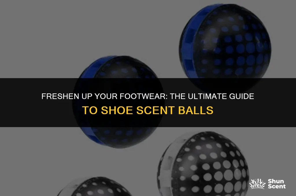 what do you call the scent ball for shoes